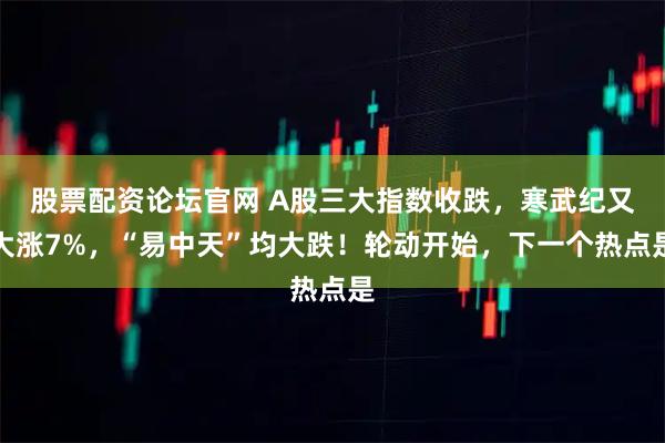 股票配资论坛官网 A股三大指数收跌，寒武纪又大涨7%，“易中天”均大跌！轮动开始，下一个热点是