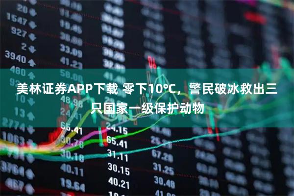 美林证券APP下载 零下10℃，警民破冰救出三只国家一级保护动物