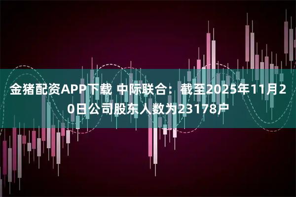 金猪配资APP下载 中际联合：截至2025年11月20日公司股东人数为23178户
