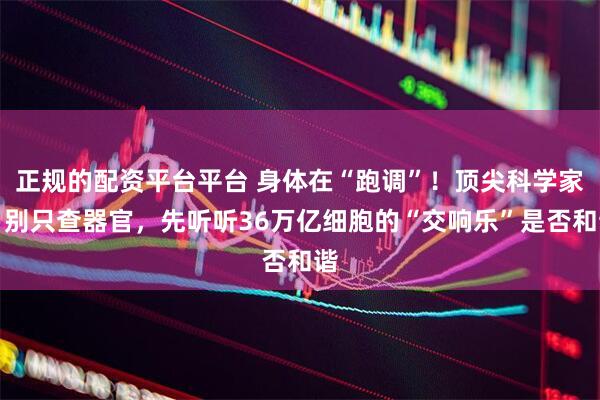 正规的配资平台平台 身体在“跑调”！顶尖科学家：别只查器官，先听听36万亿细胞的“交响乐”是否和谐