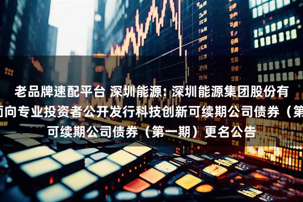 老品牌速配平台 深圳能源: 深圳能源集团股份有限公司2025年面向专业投资者公开发行科技创新可续期公司债券（第一期）更名公告