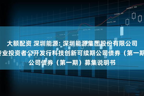 大额配资 深圳能源: 深圳能源集团股份有限公司2025年面向专业投资者公开发行科技创新可续期公司债券（第一期）募集说明书